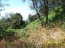 anobello-Piano bello 5 7 2009 027